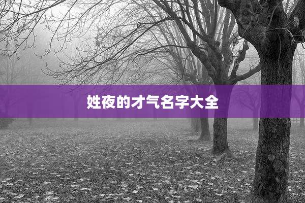 姓夜的才气名字大全