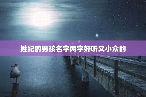 姓纪的男孩名字两字好听又小众的