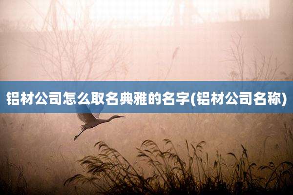 铝材公司怎么取名典雅的名字(铝材公司名称)