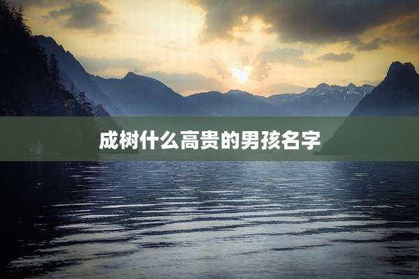 成树什么高贵的男孩名字