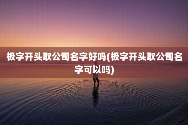 极字开头取公司名字好吗(极字开头取公司名字可以吗)
