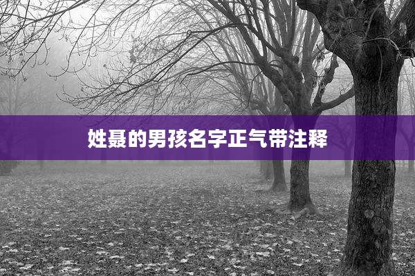 姓聂的男孩名字正气带注释