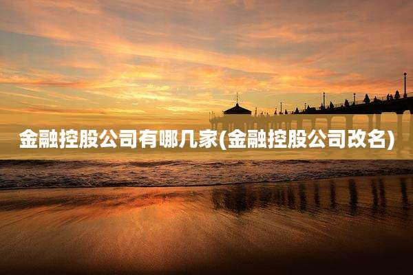 金融控股公司有哪几家(金融控股公司改名)
