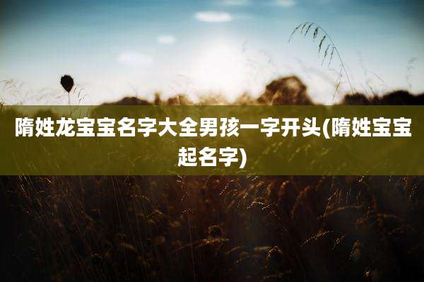 隋姓龙宝宝名字大全男孩一字开头(隋姓宝宝起名字)