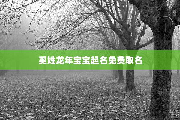 奚姓龙年宝宝起名免费取名