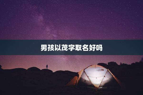 男孩以茂字取名好吗