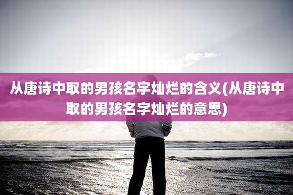 从唐诗中取的男孩名字灿烂的含义(从唐诗中取的男孩名字灿烂的意思)