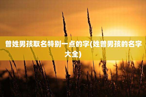 曾姓男孩取名特别一点的字(姓曾男孩的名字大全)
