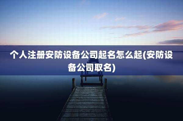 个人注册安防设备公司起名怎么起(安防设备公司取名)
