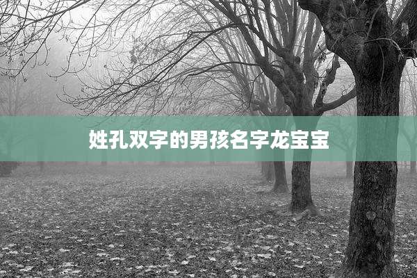 姓孔双字的男孩名字龙宝宝