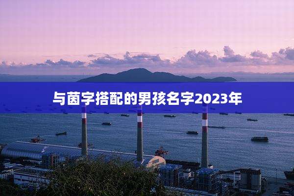 与茵字搭配的男孩名字2023年