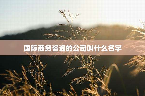 国际商务咨询的公司叫什么名字