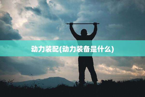 动力装配(动力装备是什么)