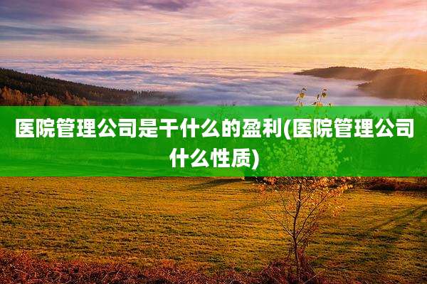 医院管理公司是干什么的盈利(医院管理公司什么性质)