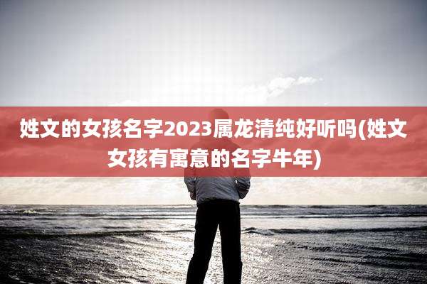 姓文的女孩名字2023属龙清纯好听吗(姓文女孩有寓意的名字牛年)