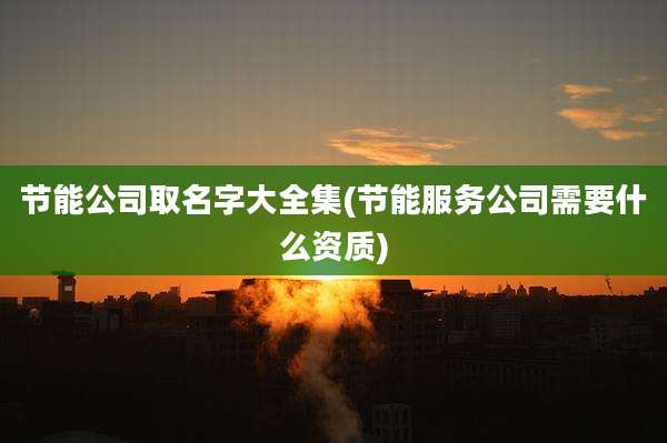 节能公司取名字大全集(节能服务公司需要什么资质)
