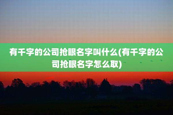 有千字的公司抢眼名字叫什么(有千字的公司抢眼名字怎么取)