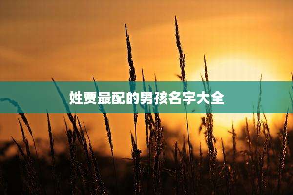 姓贾最配的男孩名字大全