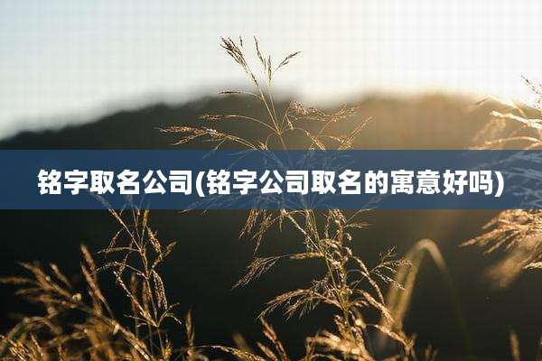 铭字取名公司(铭字公司取名的寓意好吗)