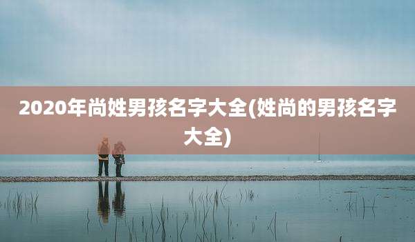 2020年尚姓男孩名字大全(姓尚的男孩名字大全)