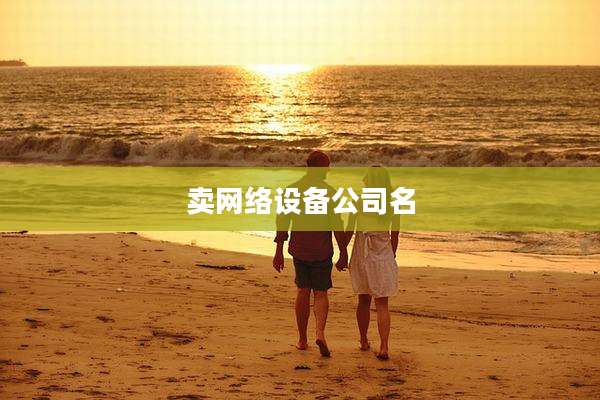 卖网络设备公司名