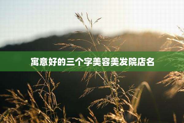寓意好的三个字美容美发院店名