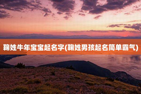鞠姓牛年宝宝起名字(鞠姓男孩起名简单霸气)