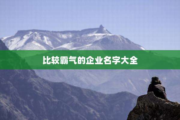 比较霸气的企业名字大全