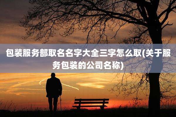 包装服务部取名名字大全三字怎么取(关于服务包装的公司名称)