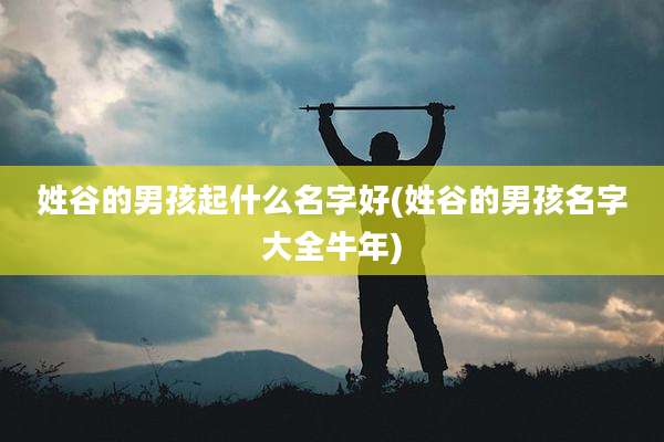 姓谷的男孩起什么名字好(姓谷的男孩名字大全牛年)