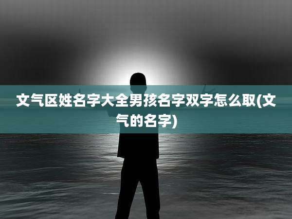 文气区姓名字大全男孩名字双字怎么取(文气的名字)