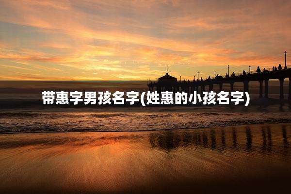 带惠字男孩名字(姓惠的小孩名字)