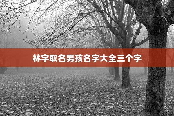林字取名男孩名字大全三个字