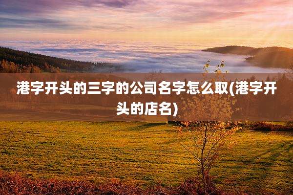 港字开头的三字的公司名字怎么取(港字开头的店名)