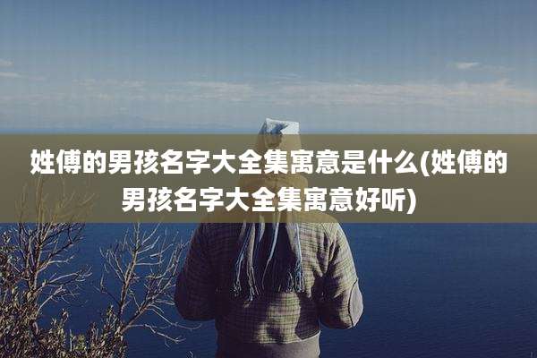 姓傅的男孩名字大全集寓意是什么(姓傅的男孩名字大全集寓意好听)