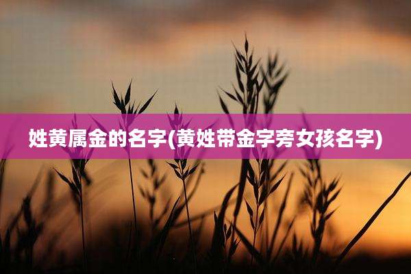 姓黄属金的名字(黄姓带金字旁女孩名字)