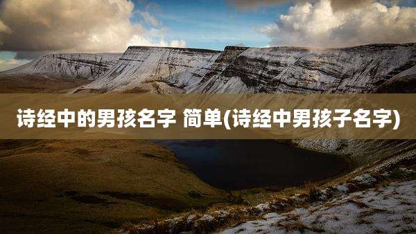 诗经中的男孩名字 简单(诗经中男孩子名字)