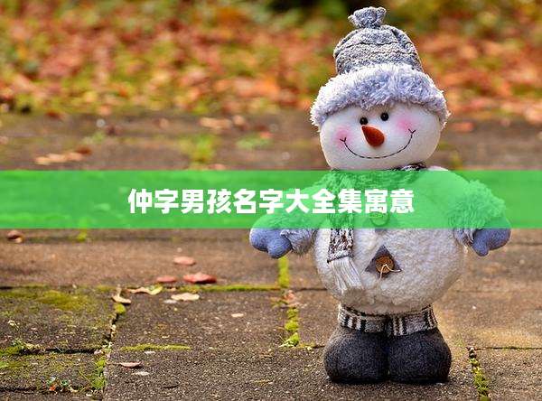 仲字男孩名字大全集寓意