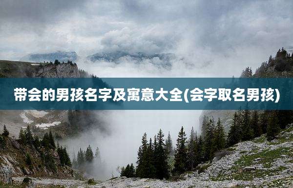 带会的男孩名字及寓意大全(会字取名男孩)