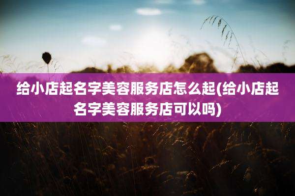 给小店起名字美容服务店怎么起(给小店起名字美容服务店可以吗)