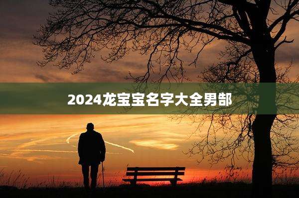 2024龙宝宝名字大全男郜