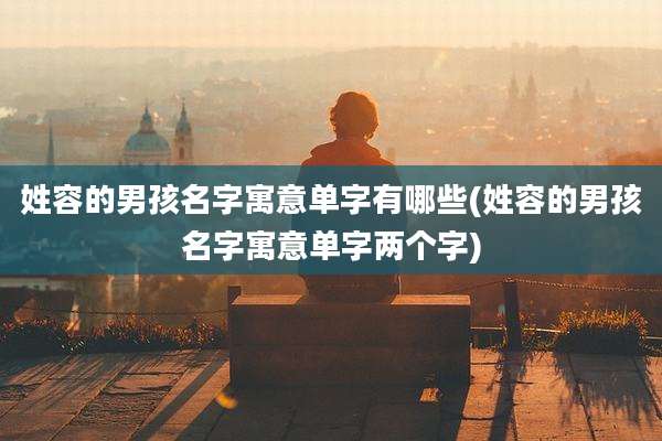 姓容的男孩名字寓意单字有哪些(姓容的男孩名字寓意单字两个字)