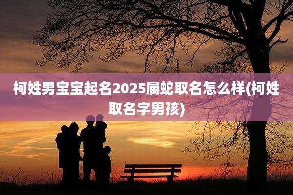 柯姓男宝宝起名2025属蛇取名怎么样(柯姓取名字男孩)