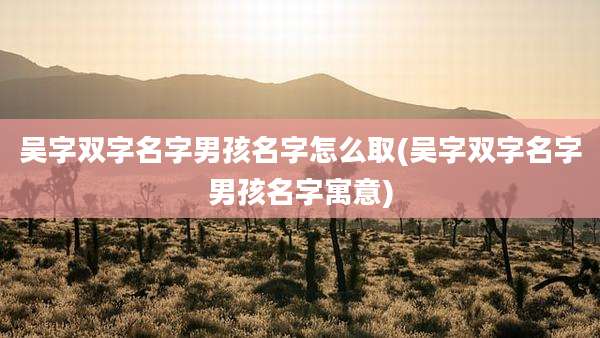 吴字双字名字男孩名字怎么取(吴字双字名字男孩名字寓意)