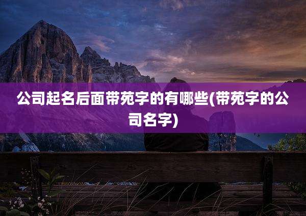 公司起名后面带苑字的有哪些(带苑字的公司名字)