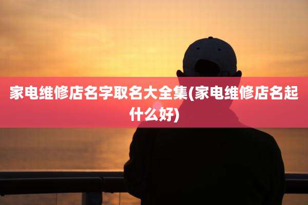 家电维修店名字取名大全集(家电维修店名起什么好)