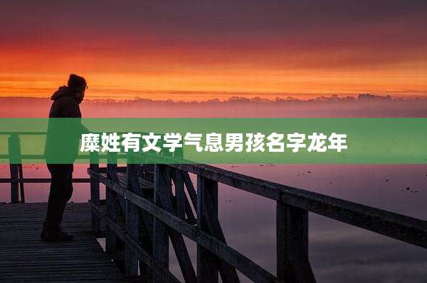糜姓有文学气息男孩名字龙年