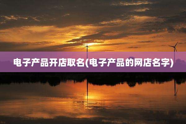 电子产品开店取名(电子产品的网店名字)
