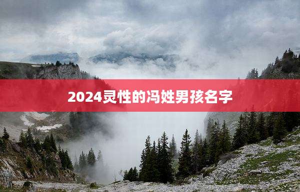 2024灵性的冯姓男孩名字