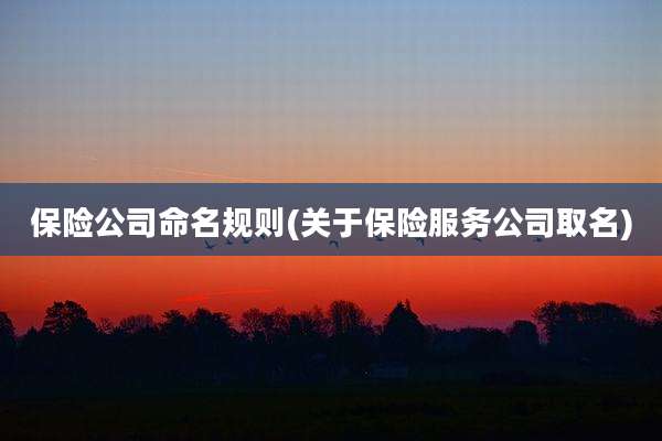 保险公司命名规则(关于保险服务公司取名)